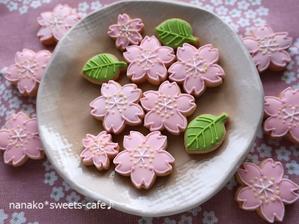 アイシングクッキーの桜 - 
