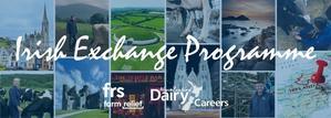 Dairy Farm Worker - Relocate to Ireland Jobs in New Zealand 2024 - 
