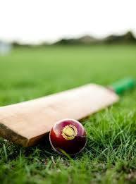 Why is bat and ball called bat and ball? - 