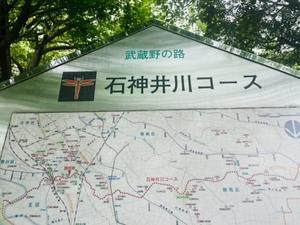 Walking 　新緑の石神井川沿いを9㎞♪ - 