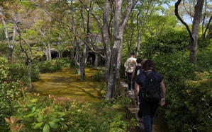 新緑に映える大河内山荘庭園をゆく   ー   そこは嵐山の別天地、一度は訪れてみたい - 