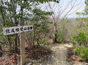 下山を開始する　八木山 (296M)  PART 4 - 