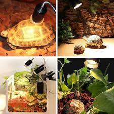 The Benefits of Sunlight or UVB/UVA Lamps for Reptiles - 