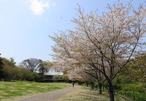 俣野別邸庭園の春 - 
