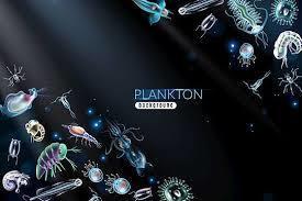 Exploring the Depths: Deep Sea Plankton - 