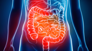 Desvendando a sintonia entre peso corporal e metabolismo: o papel vital da microbiota intestinal - 