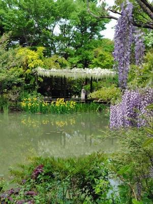 浜名湖ガーデンパーク花博を見て帰る - 気づいたことを残したいだけ。