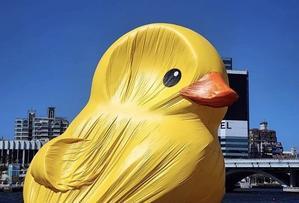 台湾で何かと話題の「黄色小鴨（ラバー・ダック）」を高雄港で発見！ - 