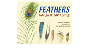 Get PDF Book A Feather So Black (Fair Folk, #1) (Author Lyra Selene) - 