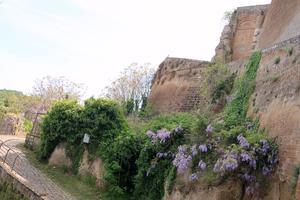 オルヴィエート藤の花彩る道をゆくケーブルカー - イタリア写真草子