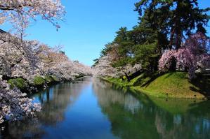 青森旅行　弘前公園　さくらまつり　外濠と追手門口の桜 - 暮らしを紡ぐ2