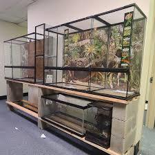  Maintaining Cleanliness and Hygiene in Reptile Enclosures - 