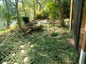 【里山の雑木林をイメージして造った“木漏れ日の庭”】 - 