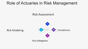 タイトル: 不確実性を乗り越える: リスク管理と金融安定におけるアクチュアリーの重要な役割 - 