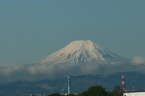 入間川に架かる橋からの富士山の眺望　２０２４．４．２５　7：54 - 