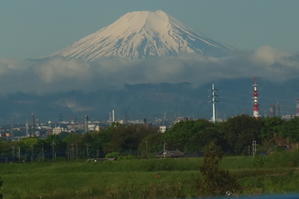 入間川に架かる橋からの富士山の眺望　２０２４．４．２５　7：54 - 