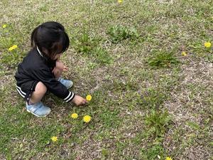 2歳児の冒険 - 小さな花アトリエ