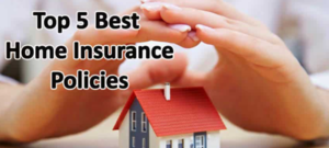2024's Elite Insurance Solutions: Unveiling the Best Policies for Today's Needs - 