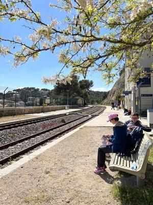 マルセイユ、コートブルーを走る世界一の景観列車は要注意？！　 - 