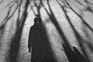 shadow - 