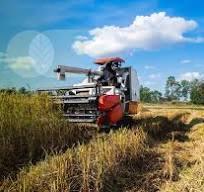  Meningkatkan Produktivitas Pertanian dengan Mesin Rontok Padi Harvester - 