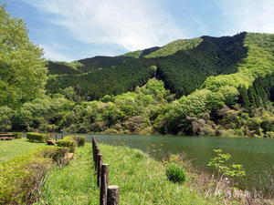 連続の夏日、朝はオムライス、梅田の山で筍とコシアブラが買えたぞバンザイ！そして今日は母の命日でした - 