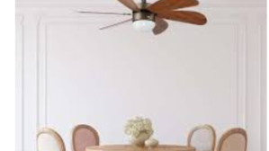 The Secret Behind Why American Homes Swear by Ceiling Fans - 