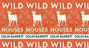Good! To Download Wild Houses by: Colin  Barrett - 