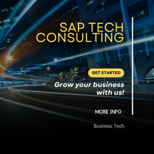 Sap Tech Consulting - 