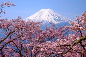 日本の山岳探検：驚くべき自然の足跡を辿る冒険 - 