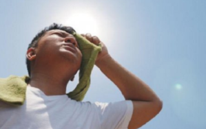 This year's heat wave broke the record of 76 years - 