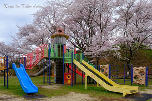 春の公園 - 