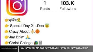 50+ Jay Bhim Bio For Instagram | Jay Bhim Instagram Bio - 