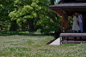 二人の世界に咲く花は白い花… - 京都迷路案内
