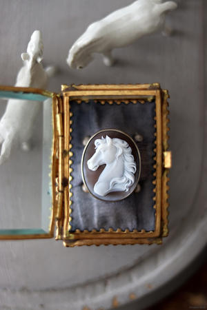 美しい白馬の横顔 - Salon de Bijoux Redouté　“ルドゥテ”