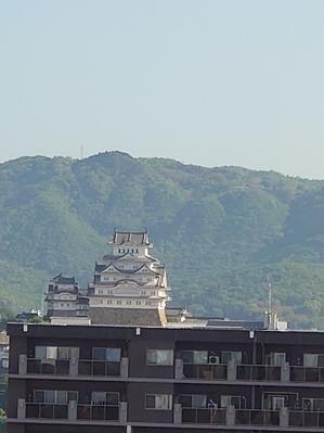 今朝の白鷺城 - 京都ときどき沖縄ところにより気まぐれ