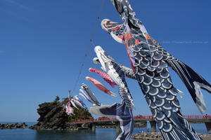 新潟県糸魚川市　能生海水浴場の鯉のぼり - 野沢温泉とその周辺いろいろ２
