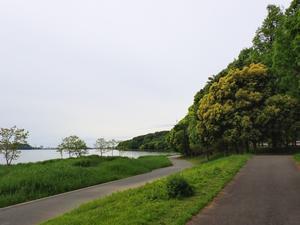 佐鳴湖の周遊散策路 - 