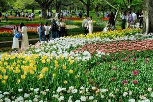 4月の昭和記念公園　2 - 