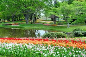 4月の昭和記念公園　４ - 