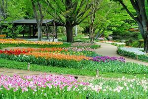 4月の昭和記念公園　４ - 