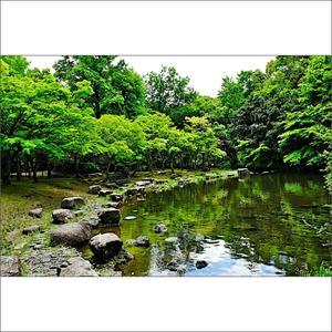 新緑の池 - Higemasa's Photo Gallery