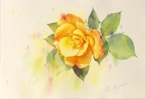 黄色い薔薇　Ⅱ - 青山一樹 水彩画のひととき