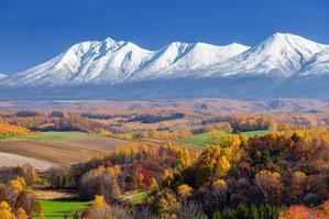 Financial Implications of Hokkaido's Natural Beauty: Charms Across the Four Seasons - 