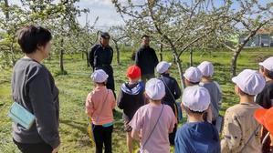 ５月１日　りんご体験学習（花粉付け） - 笑顔輝く 六郷小学校ブログ
