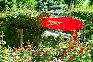 JRA東京競馬場のローズガーデンへ - バラとハーブのある暮らし　Salon de Roses