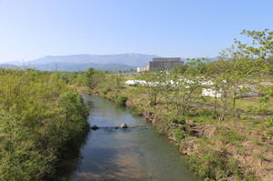 朝の散歩は、上杉まつりのフィナーレを飾る川中島合戦の会場へ　２０２４．５．３ - 