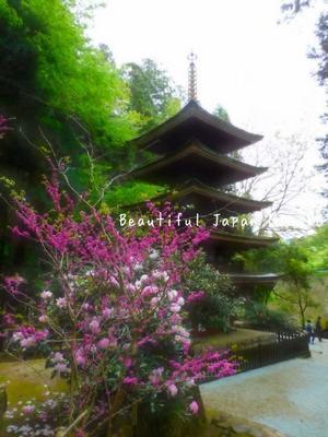 室生寺 五重塔の美しさ;･ﾟ☆､･：`☆･･ﾟ･ﾟ☆ - 