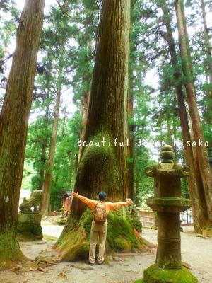 天にも届く室生龍穴神社;･ﾟ☆､･：`☆･･ﾟ･ﾟ☆ - Beautiful Japan 絵空事