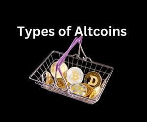 Altcoins Explained: A Guide to Alternative Cryptocurrencies - 
